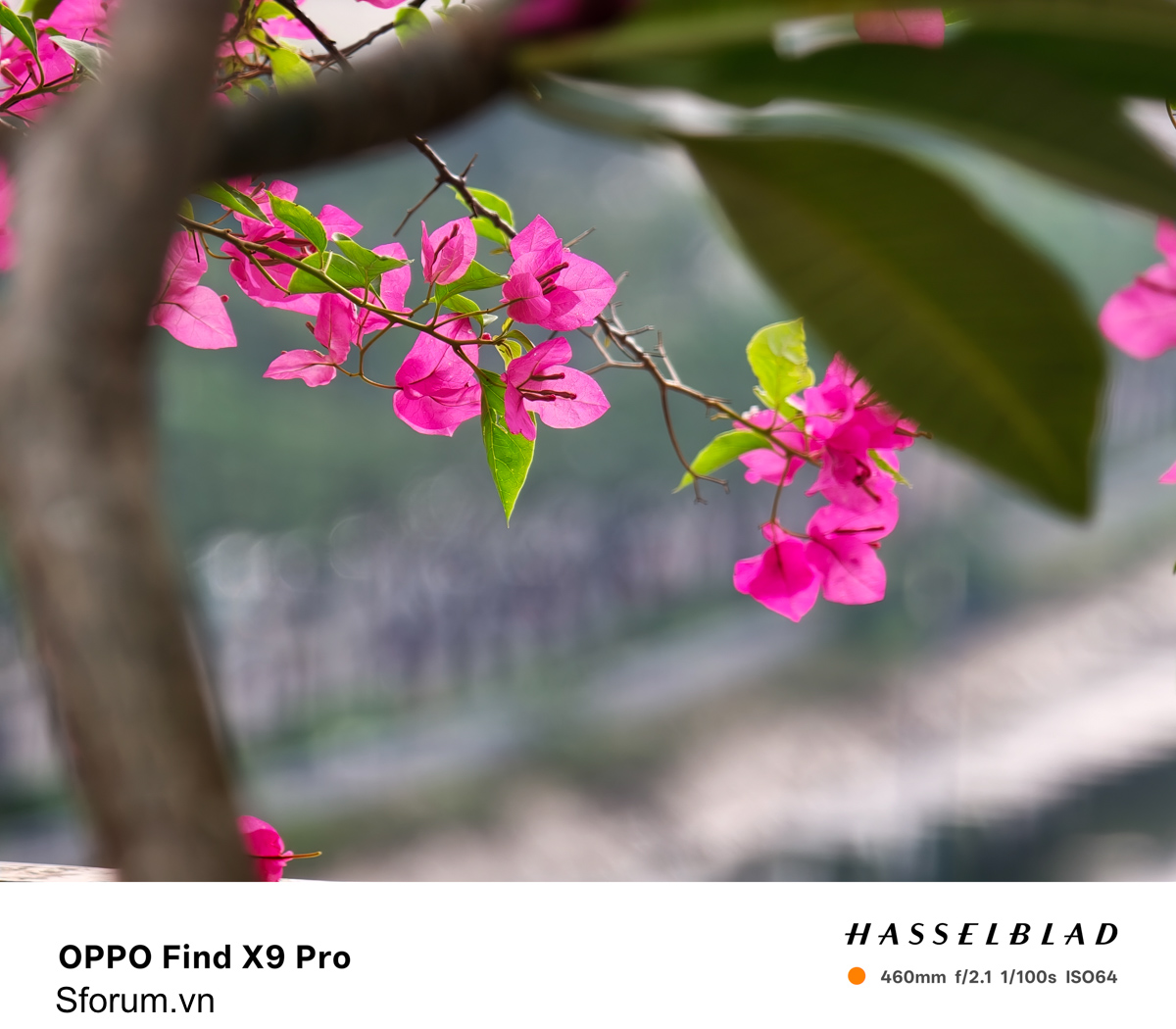 Trên tay bộ lens OPPO Find X9 Pro ở khoảnh cách chụp 20X