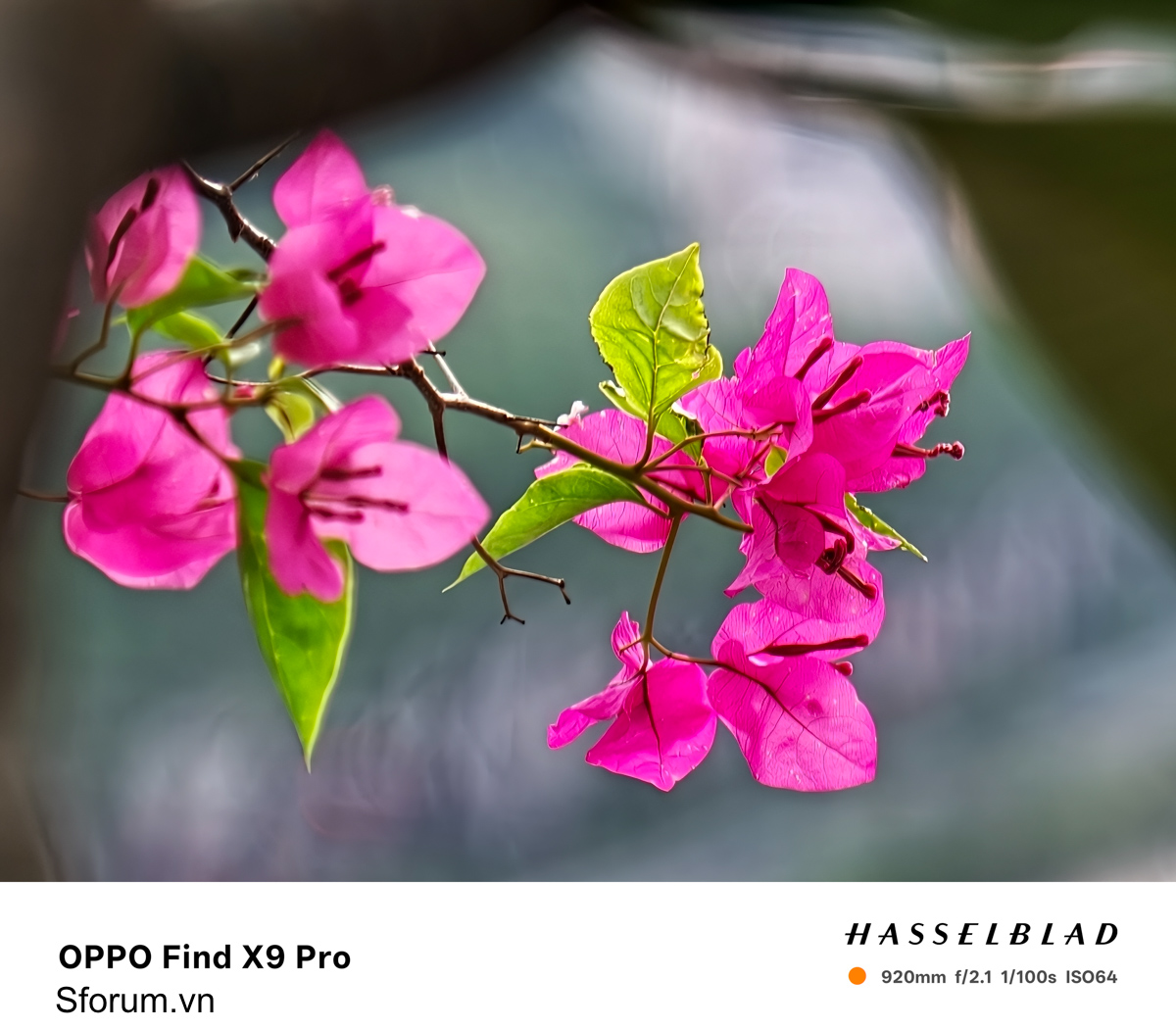 Trên tay bộ lens OPPO Find X9 Pro ở khoảnh cách chụp 40x