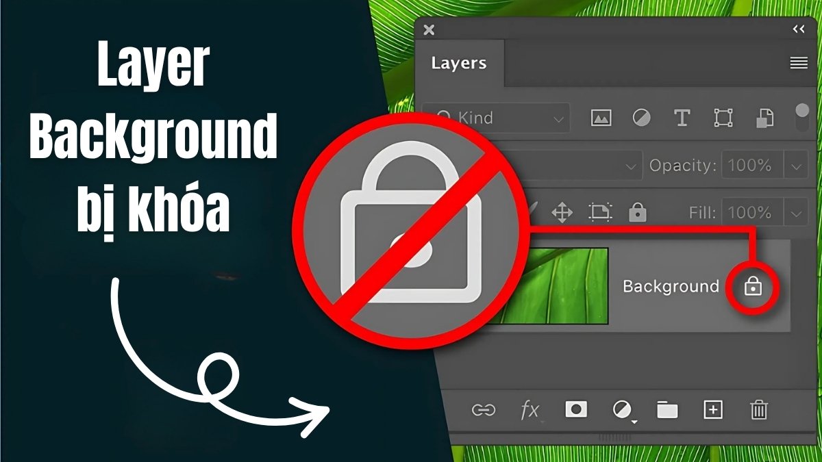 Layer Background bị khóa trong Photoshop
