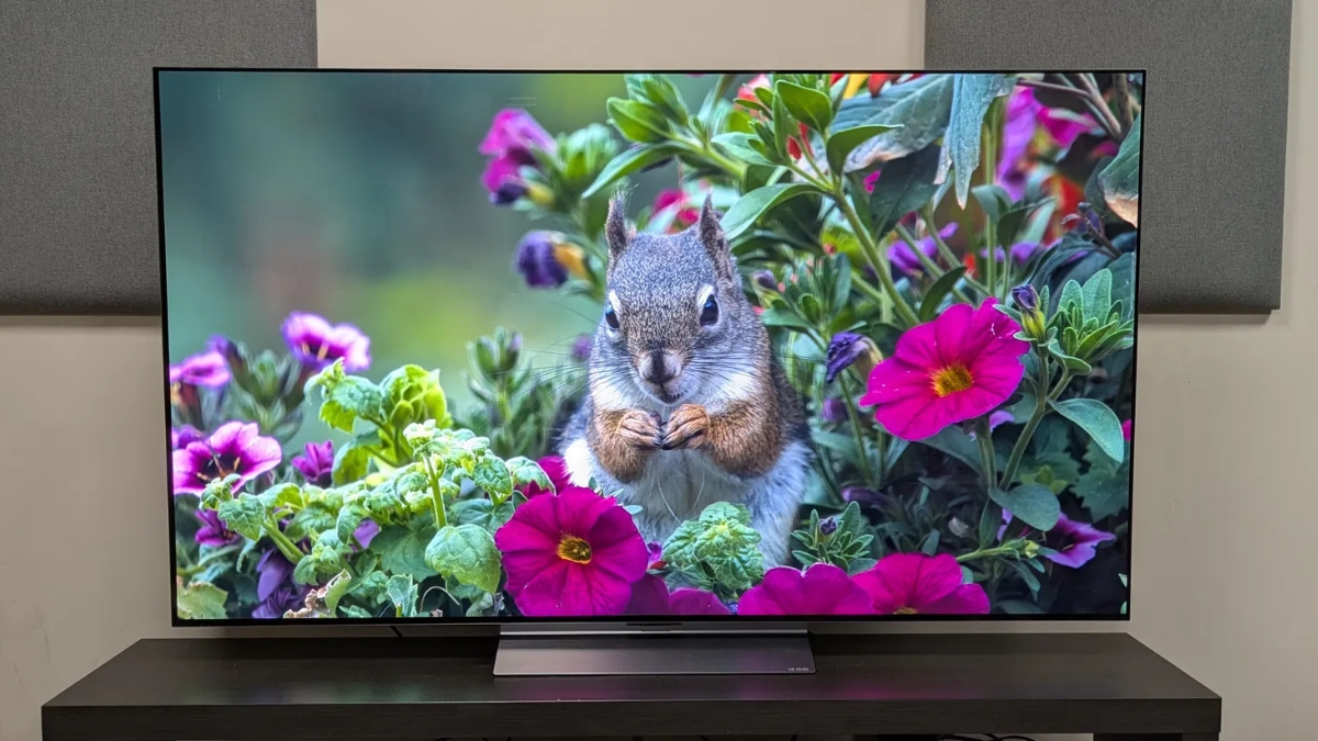 Đánh giá LG OLED Evo C6 với khả năng tái tạo màu sắc sống động trên khung cảnh thiên nhiên