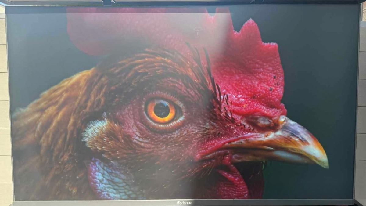 Đánh giá Sylvox Frameless Pro dưới nắng và trong bóng râm