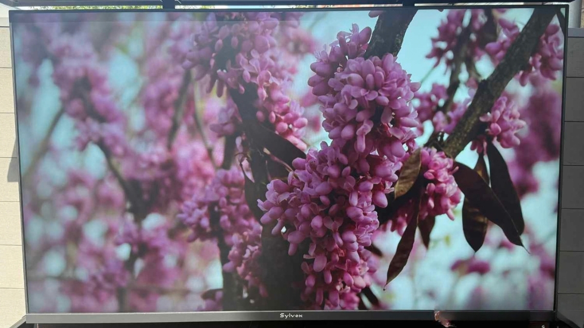Đánh giá Sylvox Frameless Pro cho nhu cầu giải trí ngoài trời