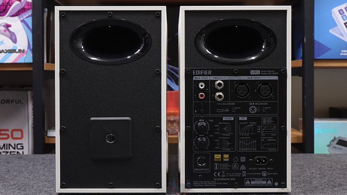 Trên tay Edifier MR5 với các cổng kết nối RCA, TRS và XLR ở mặt sau