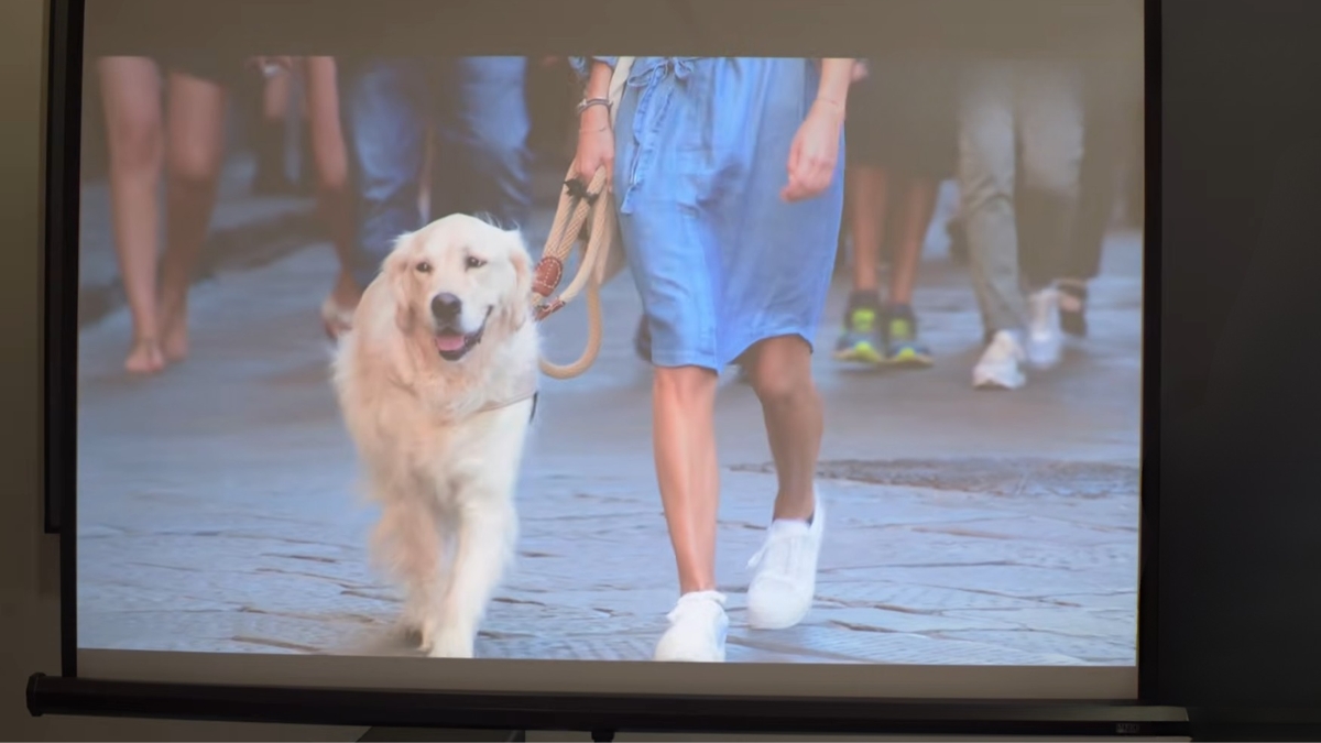 Trên tay XGIMI Elfin Flip 4K với khả năng hiển thị hình ảnh sắc nét.
