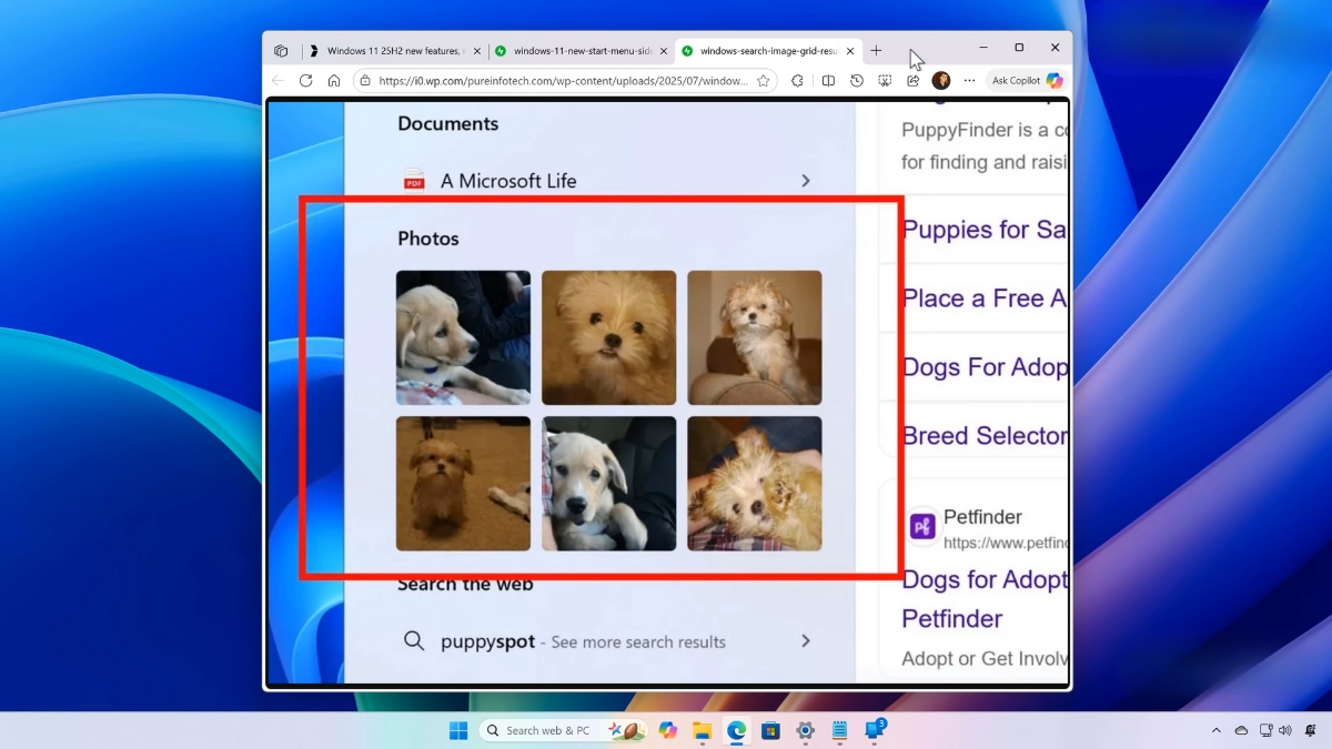 Windows 11 25H2 vs 24H2 cải thiện Windows Search, Notification Center và OOBE