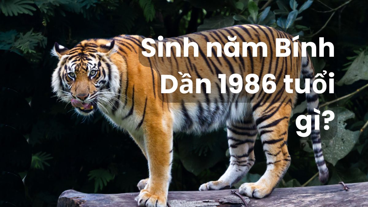 Sinh năm 2009 mệnh gì và tuổi gì