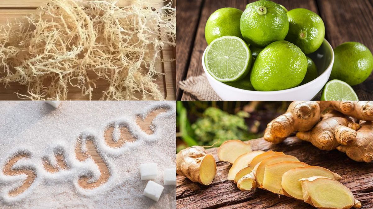Cách làm mứt rong sụn và nguyên liệu