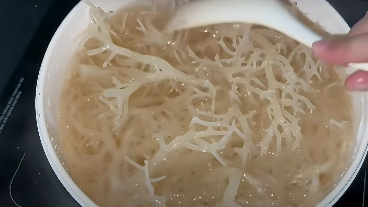 Cách làm mứt rong sụn bước 2