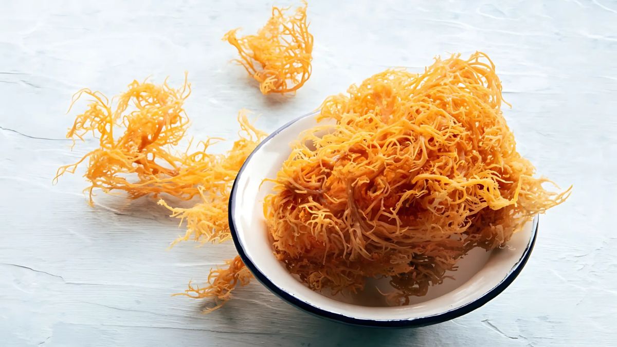 Cách làm mứt rong sụn và cách chọn rong sụn