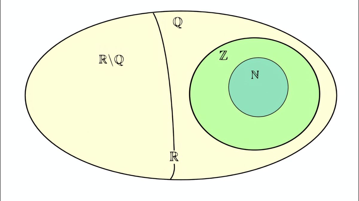 Phân loại các dạng số thực thường gặp