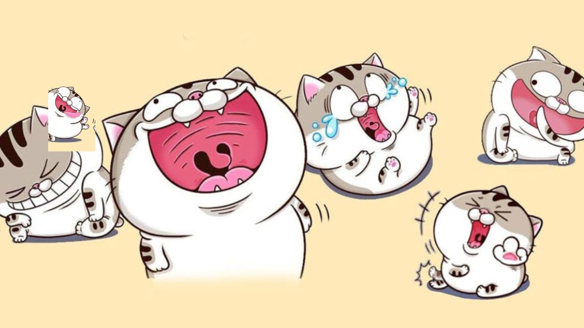 STT hài hước cuối tuần