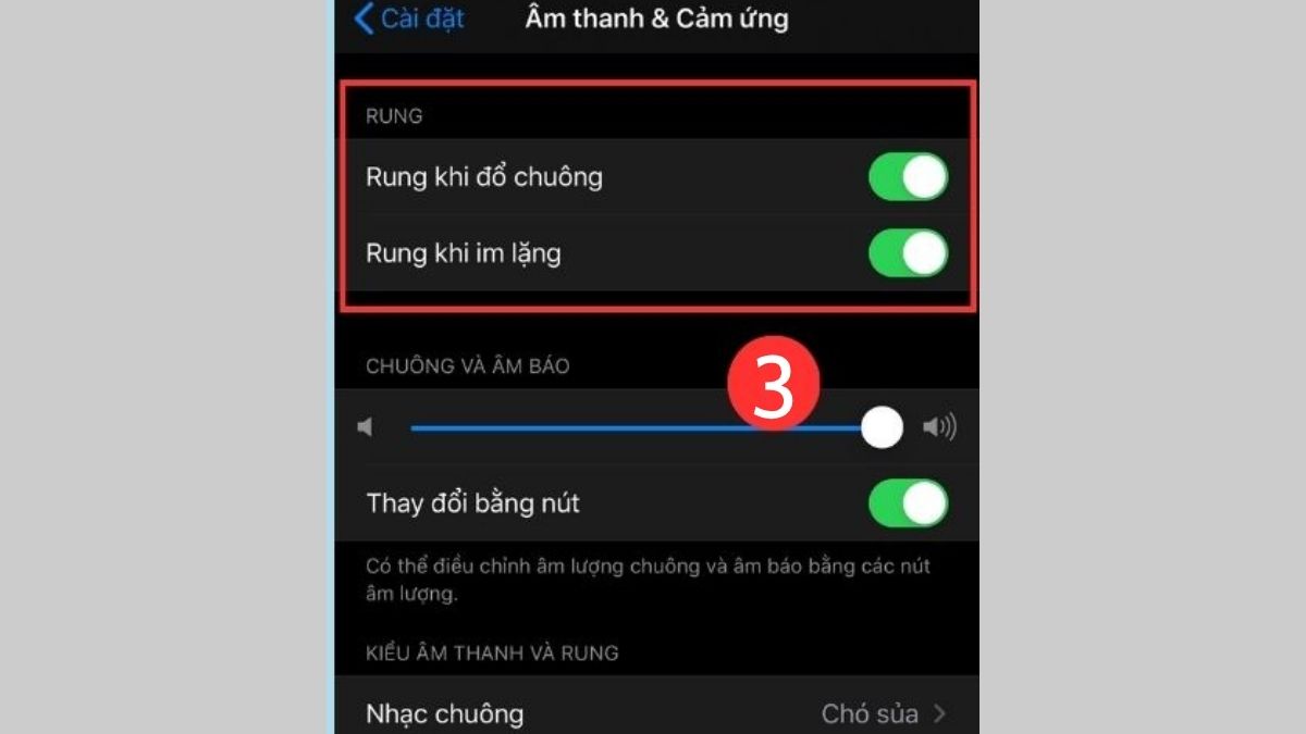 Cách bật chế độ rung khi im lặng trên iPhone bước 3