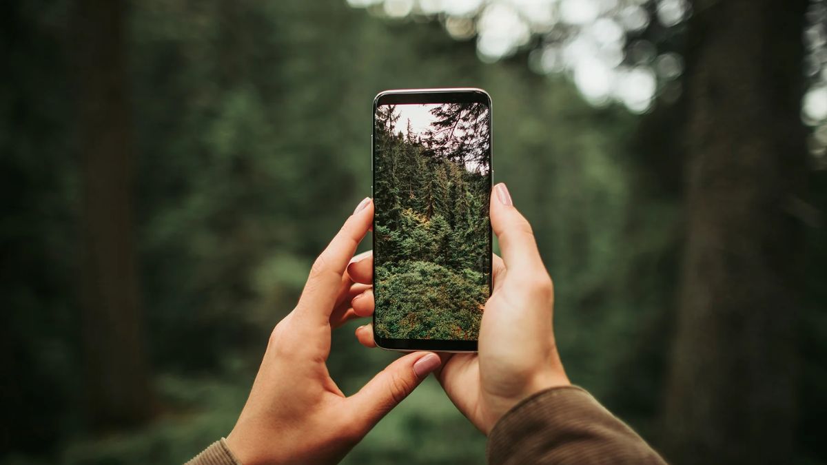 Mẹo sử dụng điện thoại để chụp hình đẹp hơn