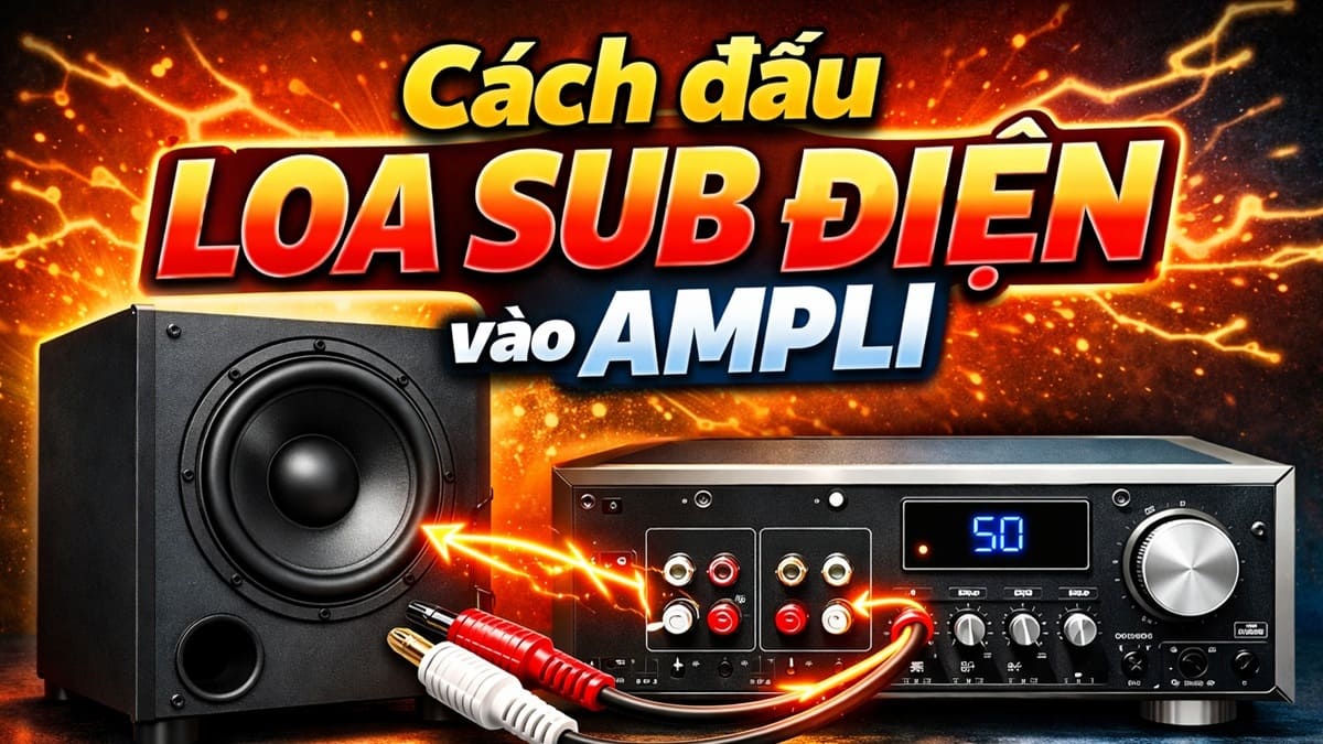 Cách đấu loa sub điện vào ampli đúng chuẩn kỹ thuật