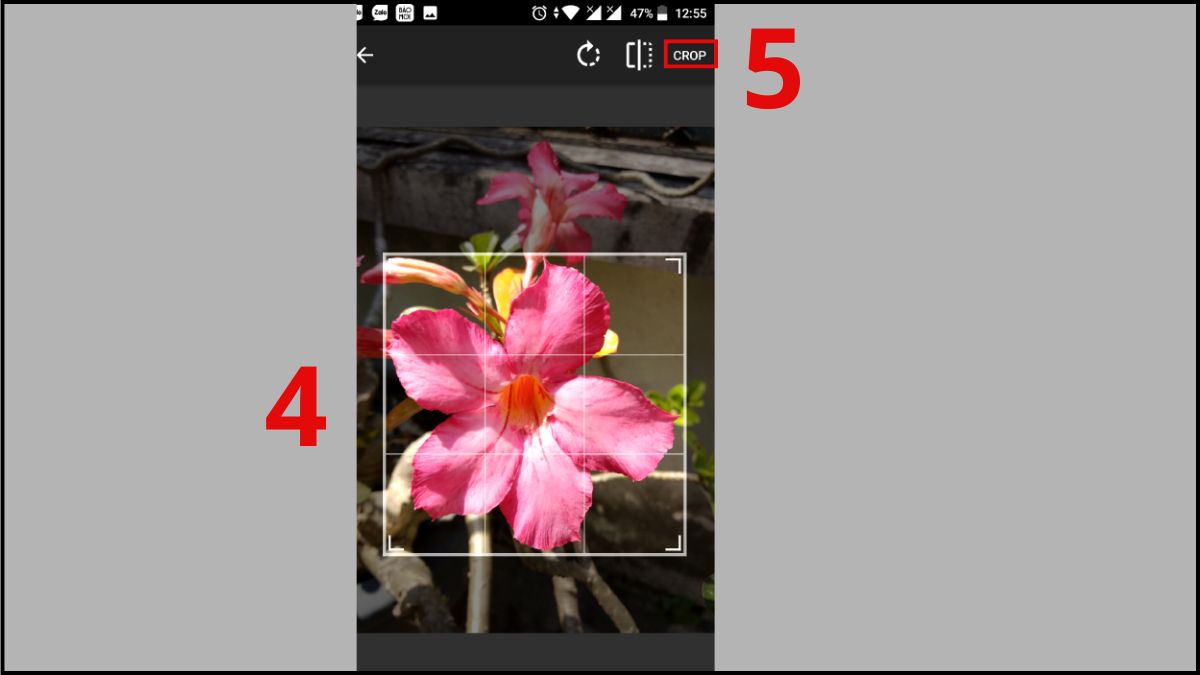 cách thay đổi hình icon ứng dụng trên samsung bằng Awesome Icons  từ máy ảnh bước 3