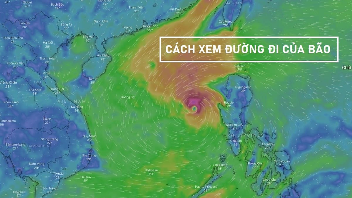 Cách xem đường đi của bão chính xác qua điện thoại, máy tính