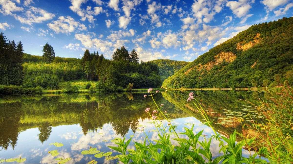 hình nền đẹp 4k