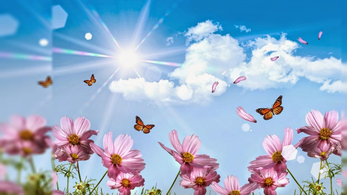 hình nền đẹp chuẩn