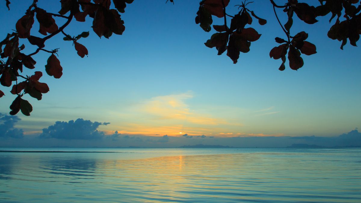 Nguồn gốc phát triển của hình nền