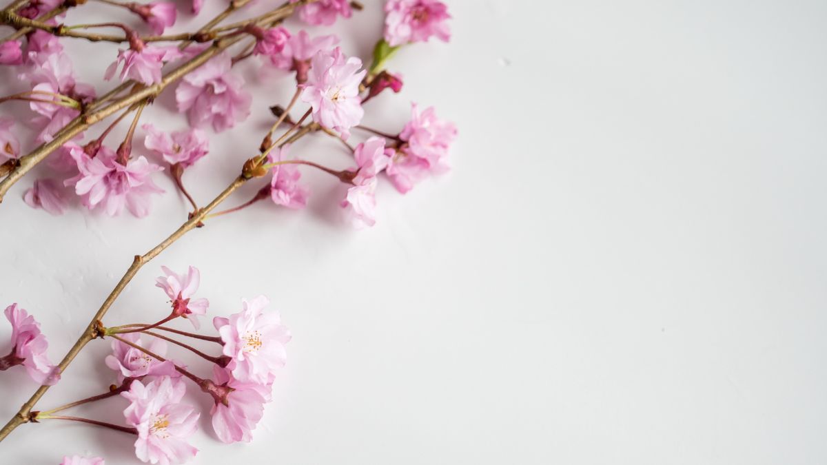 Cách chọn hình nền phù hợp