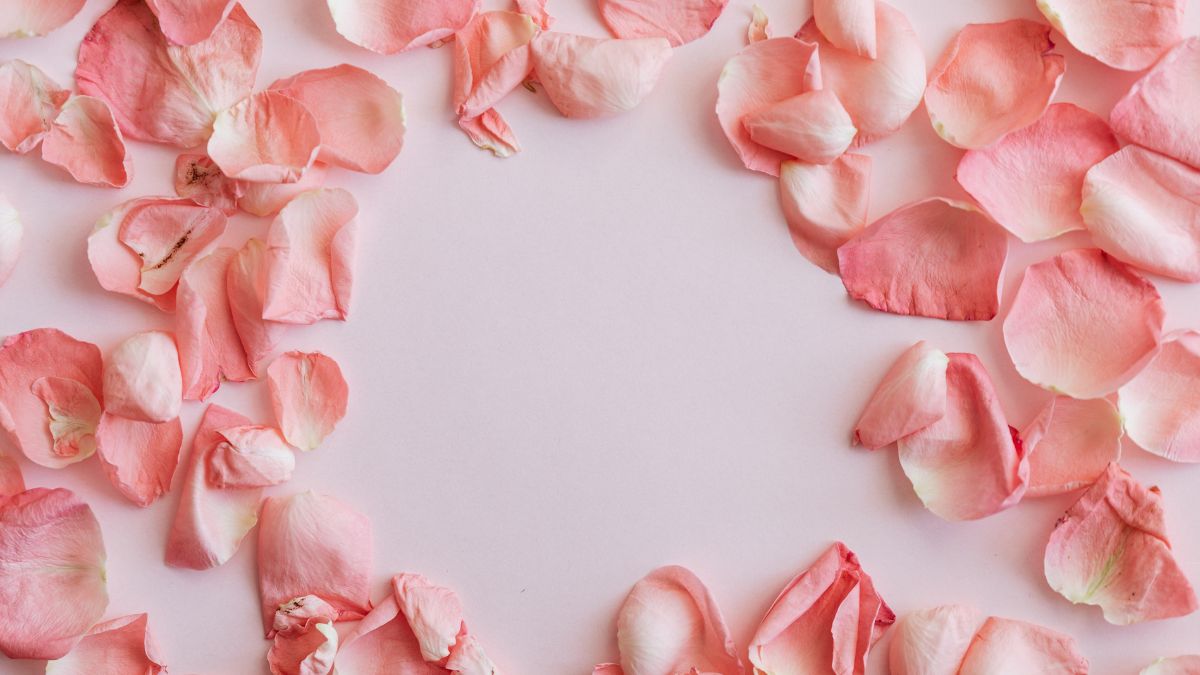 tải hình nền đẹp