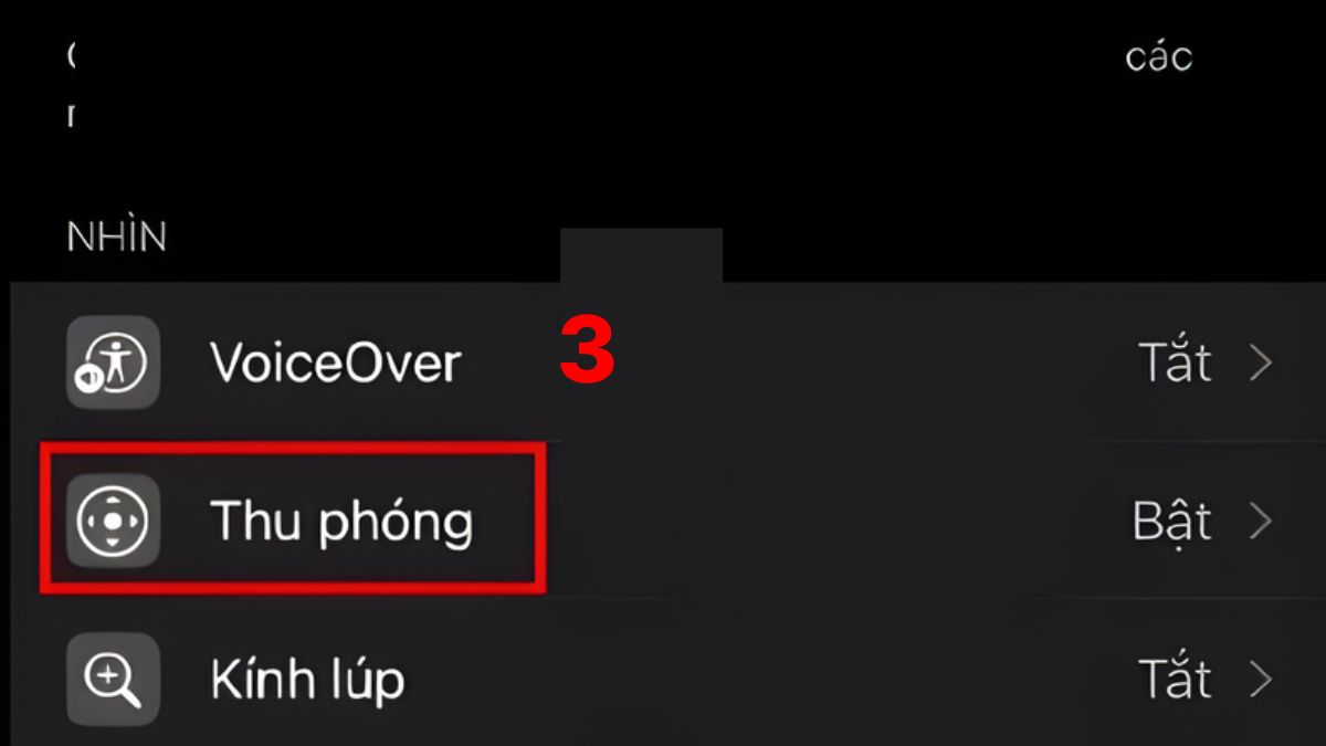 iPhone 13 Pro Max bị chớp màn hình tắt chế độ thu phóng bước 2