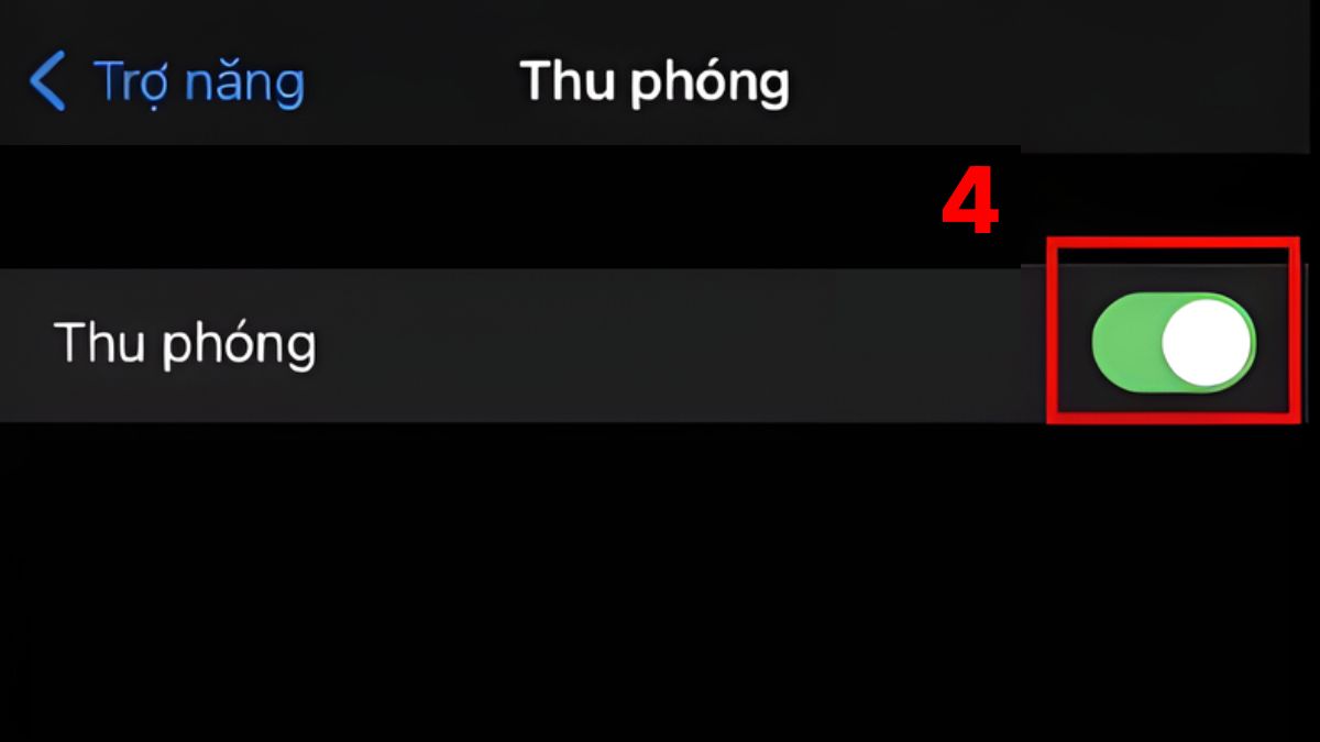 iPhone 13 Pro Max bị chớp màn hình tắt chế độ thu phóng bước 3