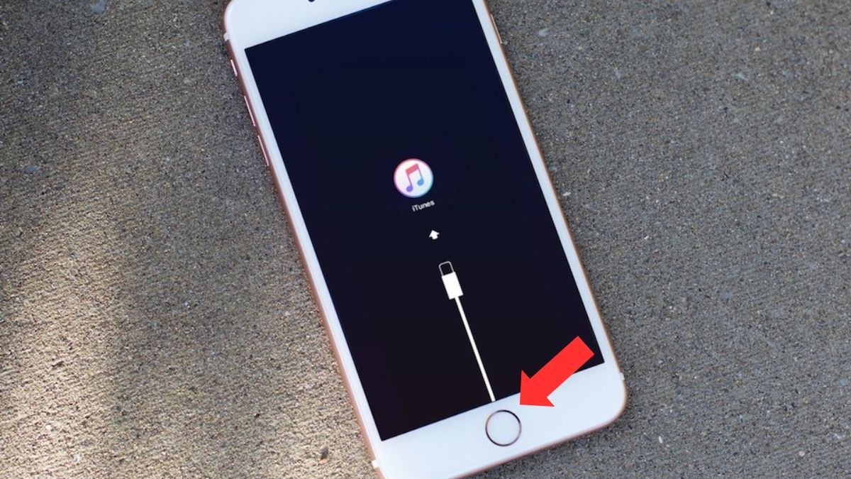cách khắc phục iPhone bị treo iTunes cập nhật lại hệ điều hành bước 2