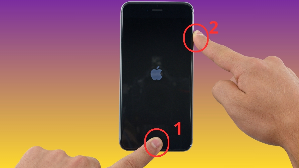 Cách khắc phục liệt màn hình iPhone đối với iphone 8 trở lên bước 3