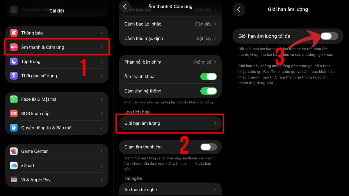 Cách khắc phục loa iPhone bị rè kiểm tra tuỳ chỉnh trong cài đặt
