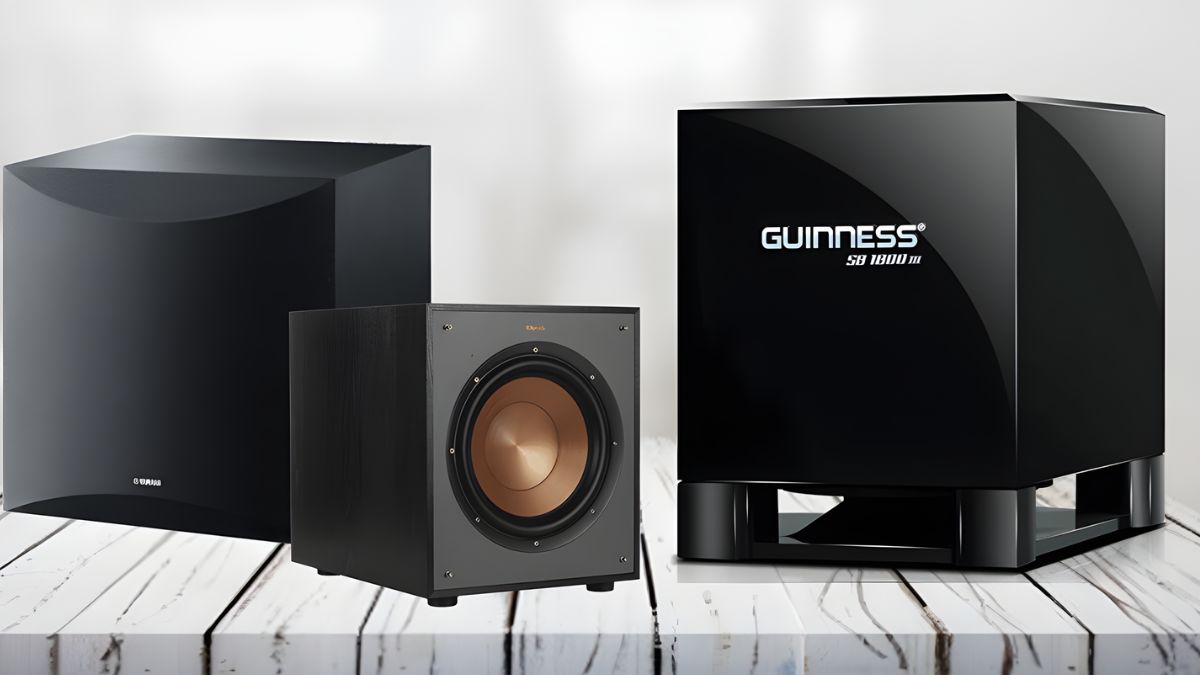 Nên mua loa sub loại nào karaoke