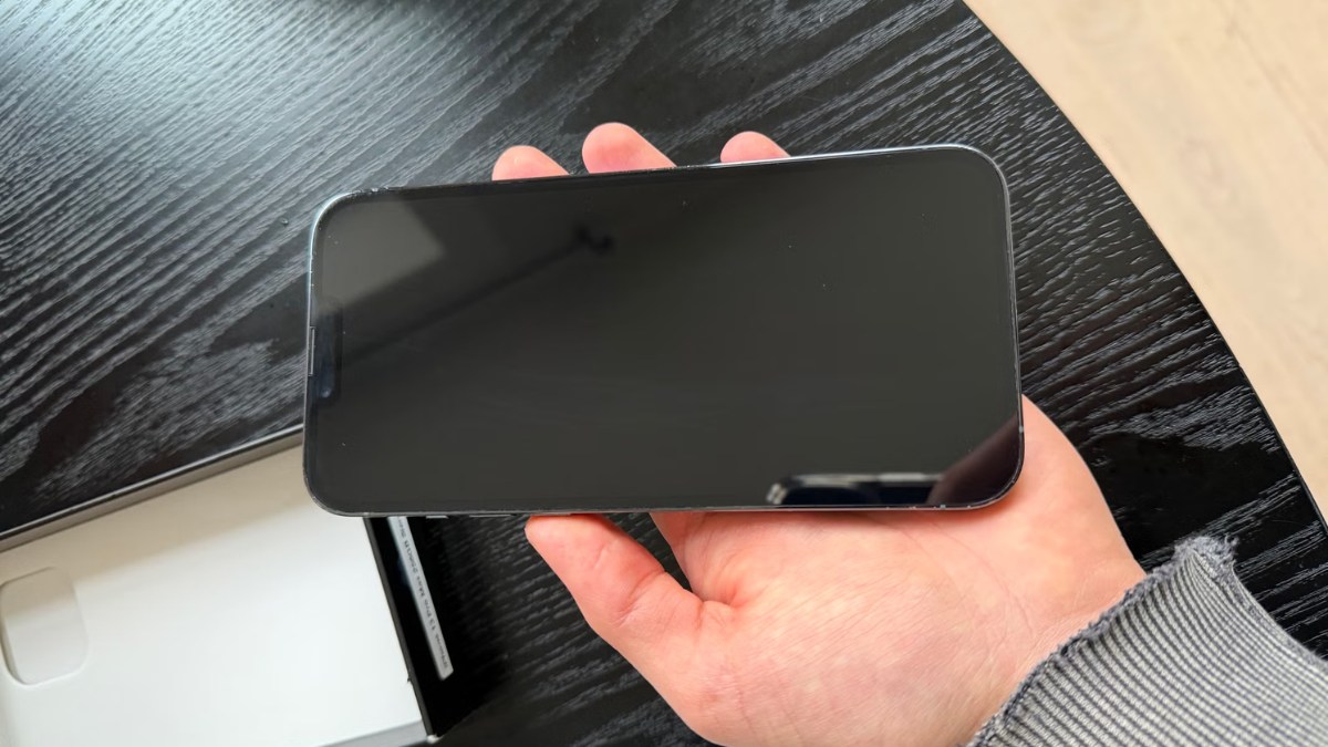 Các lỗi màn hình iPhone 13 Pro Max bị chớp nháy tối đen