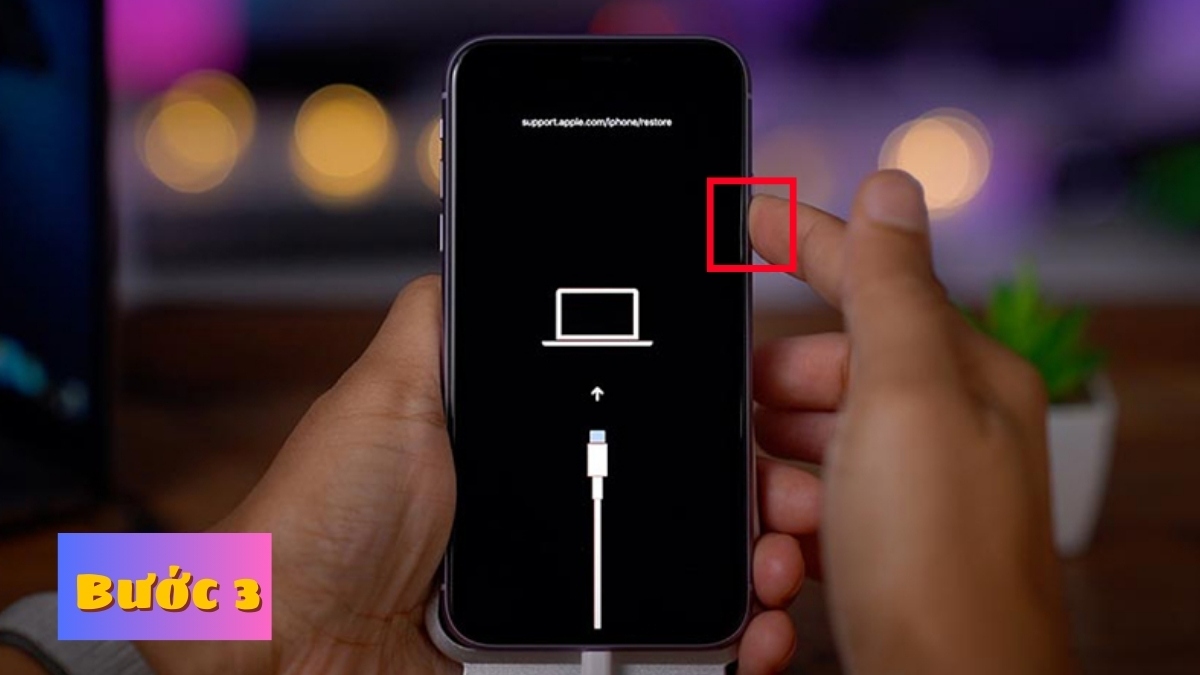 Cách sửa lỗi màn hình iPhone bị màu âm bản Đưa iPhone về chế độ DFU/Recovery Mode  bước 3