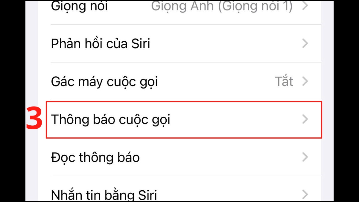 Cách tắt đọc tên người gọi đến trên iPhone trong siri bước 2