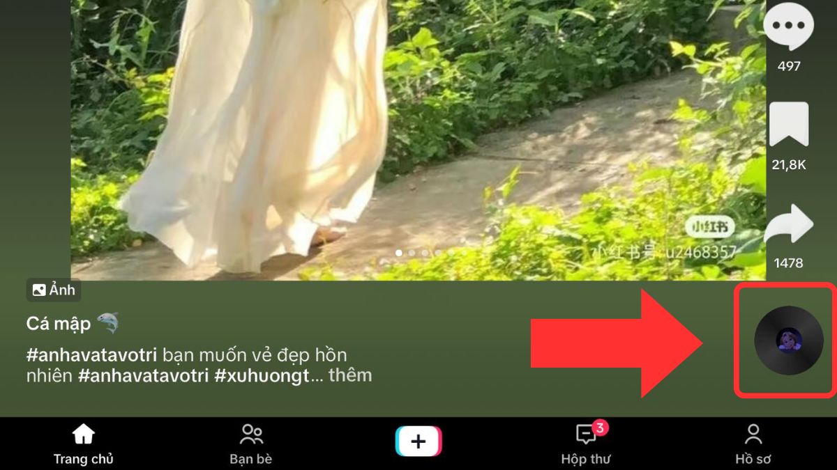 Cách tìm bài hát trên TikTok trong phần thông tin hiển thị
