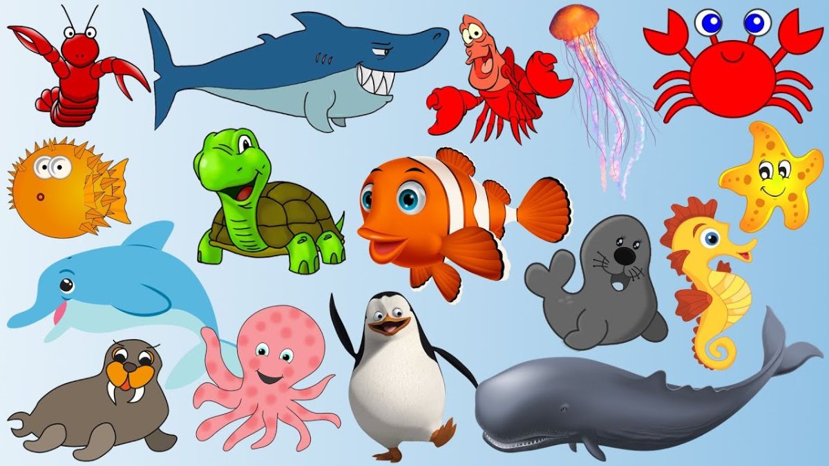 những câu đố về con vật dưới nước