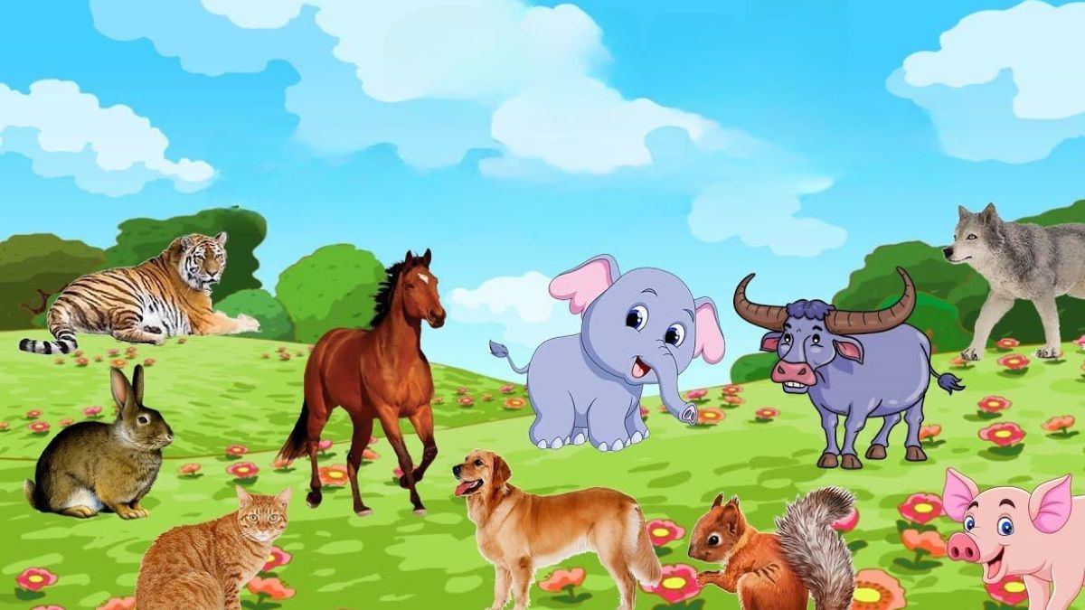 Những câu đố về con vật nâng cao, khó