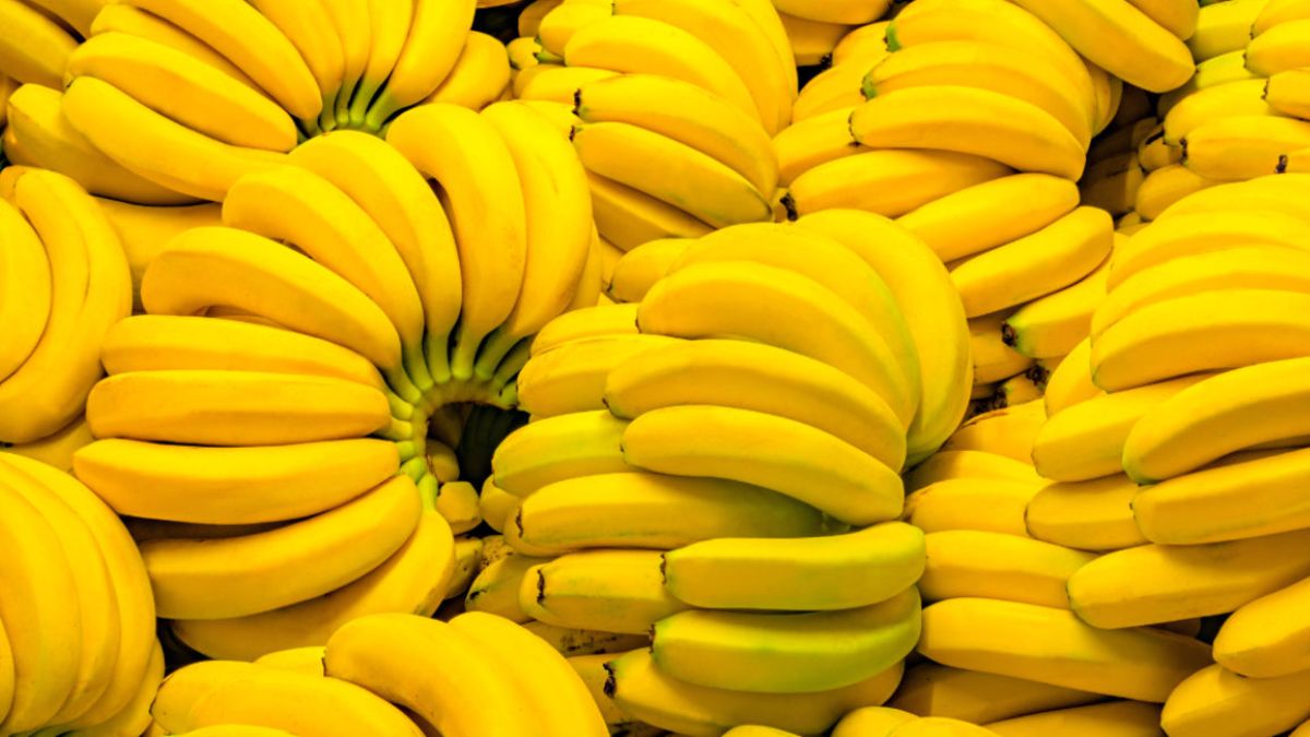 câu đố về trái cây chuối