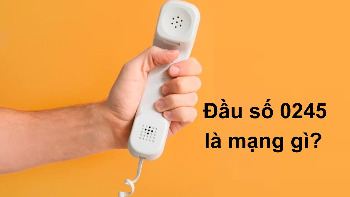 Đầu số 0245 là mạng gì?
