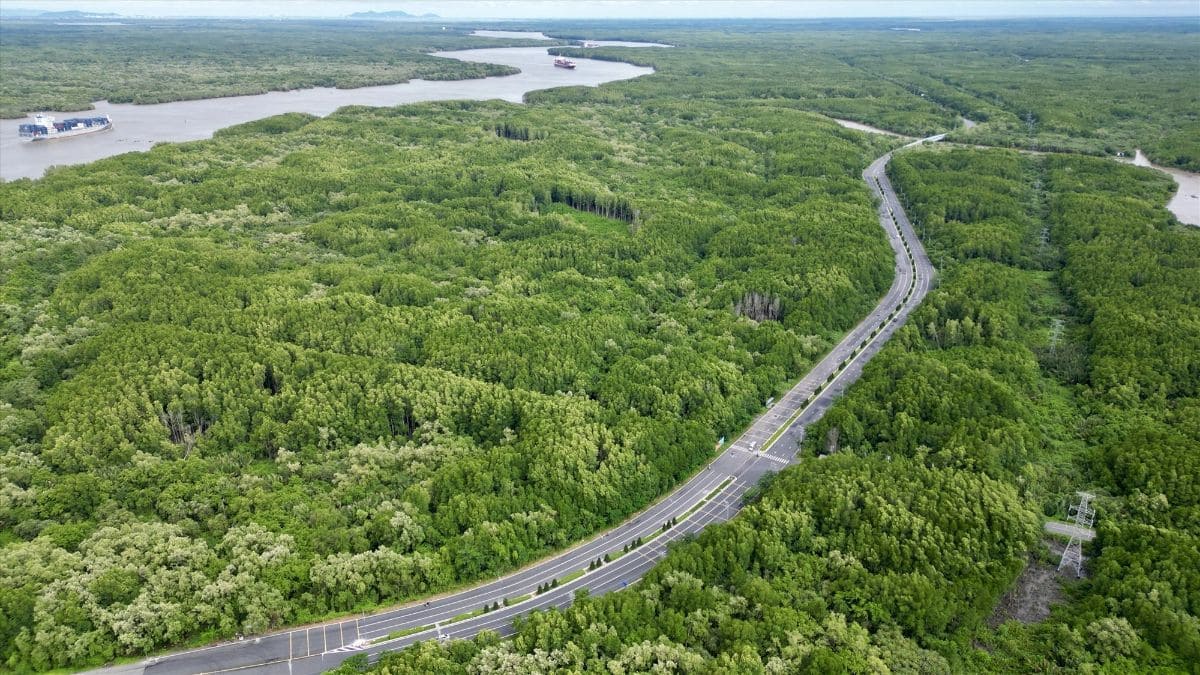 Địa điểm du lịch gần Sài Gòn đi về trong ngày - khám phá ốc đảo xanh cần giờ