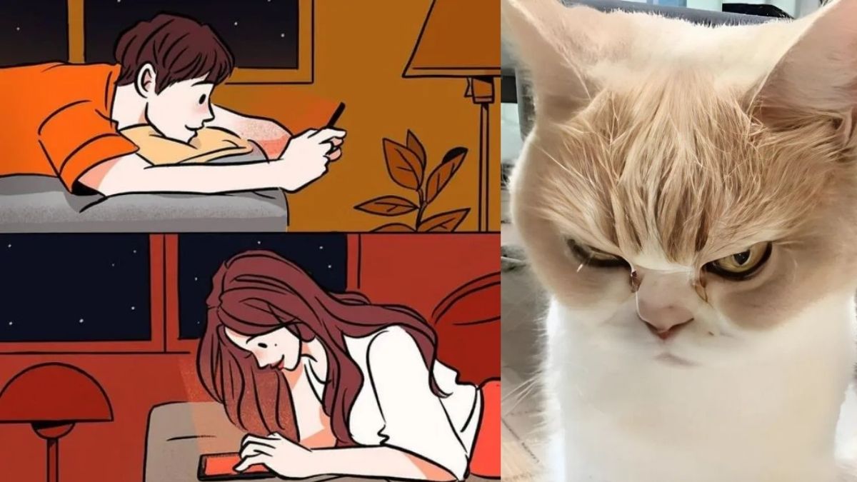 Cách sử dụng meme giận dỗi tinh tế khi chat
