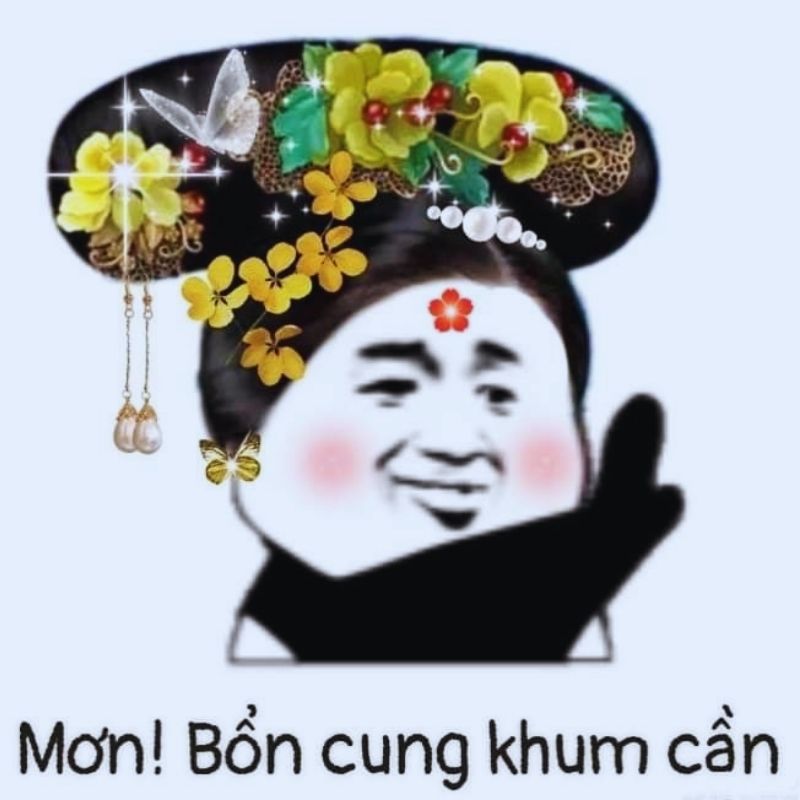 Meme gấu trúc tức giận - 2