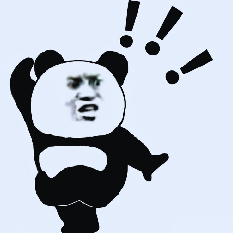 Meme gấu trúc tức giận - 3
