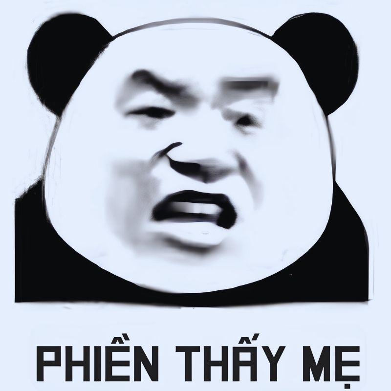 Meme gấu trúc tức giận - 4