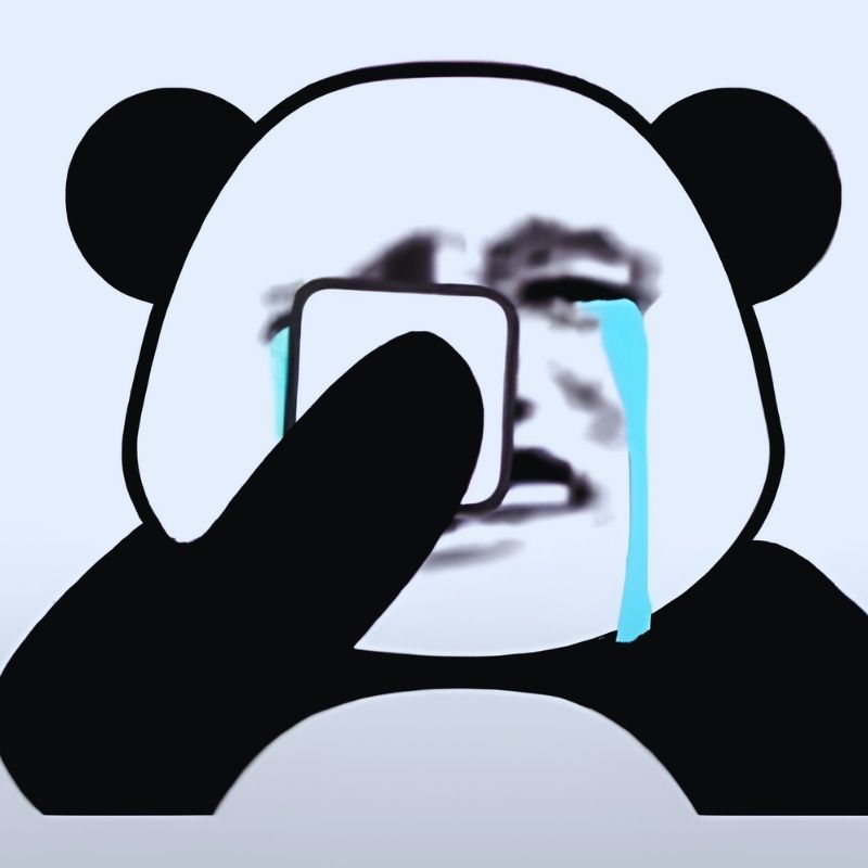 Meme gấu trúc tức giận - 5