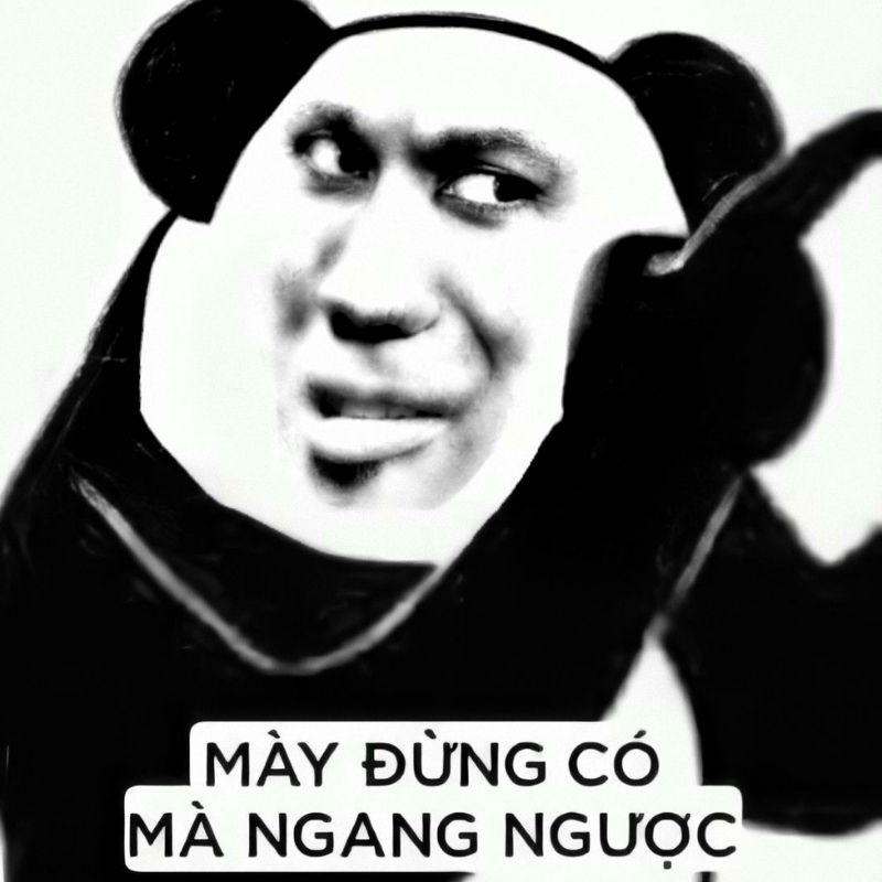 Meme gấu trúc tức giận - 6