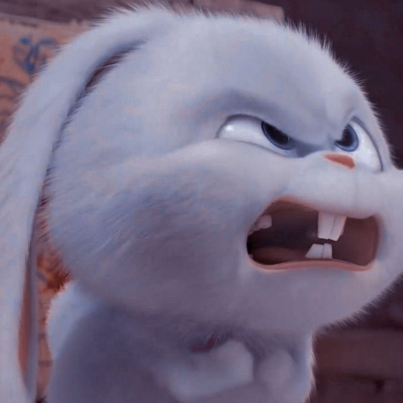 Tức giận thỏ Snowball meme - 1