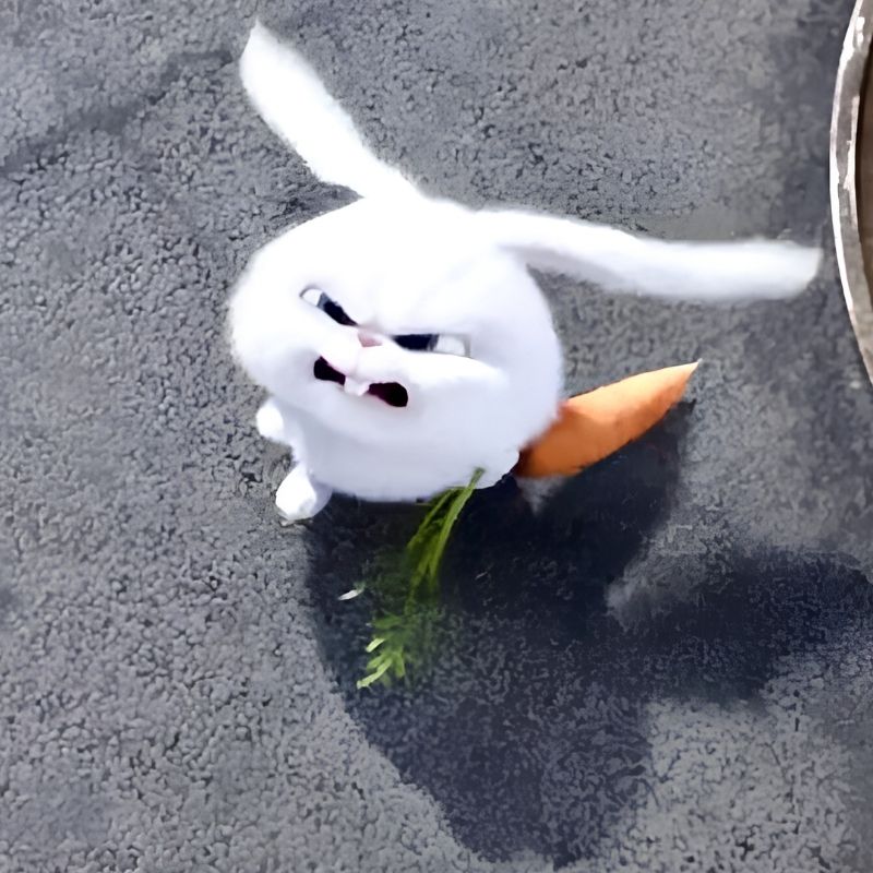 Tức giận thỏ Snowball meme - 2