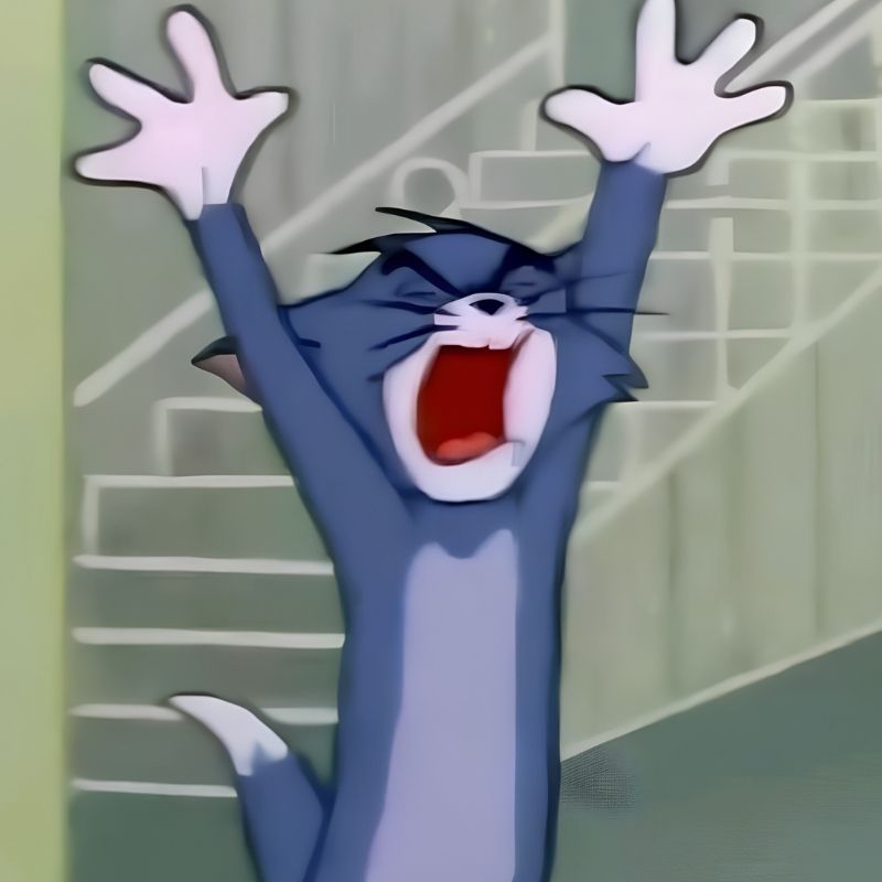 Meme mèo Tom tức giận - 1
