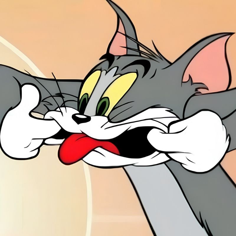 Meme mèo Tom tức giận - 2